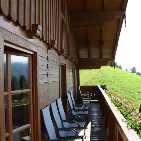 Cozy Near The Area 아파트 *